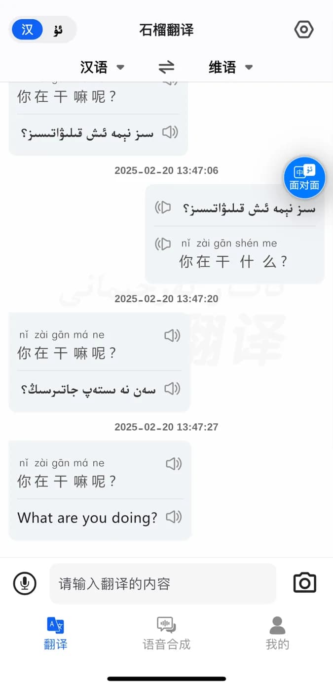 石榴翻译翻译界面